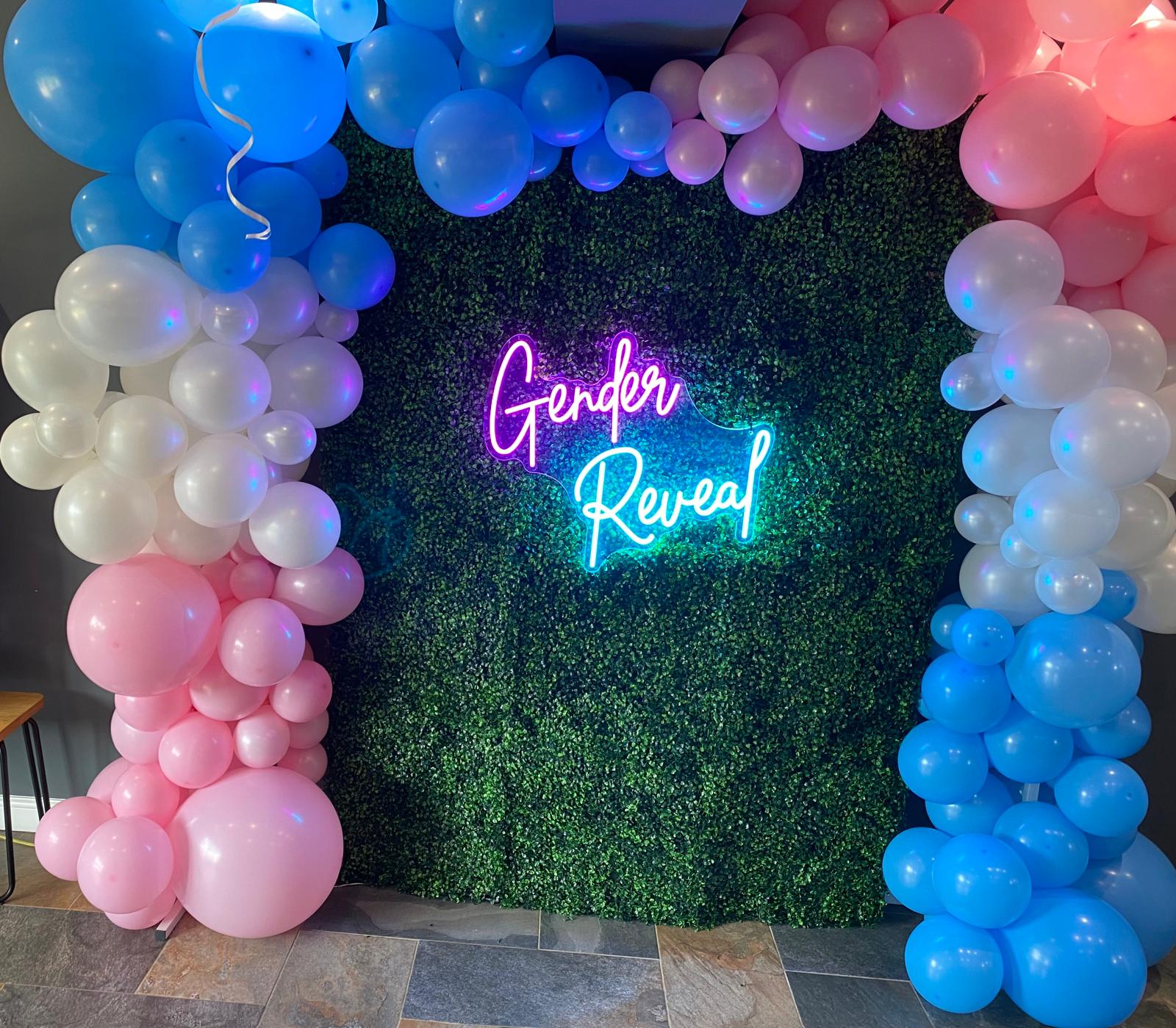 Gender reveal balloon package in pink and blue theme